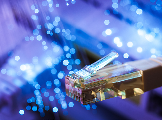 Network Security Project